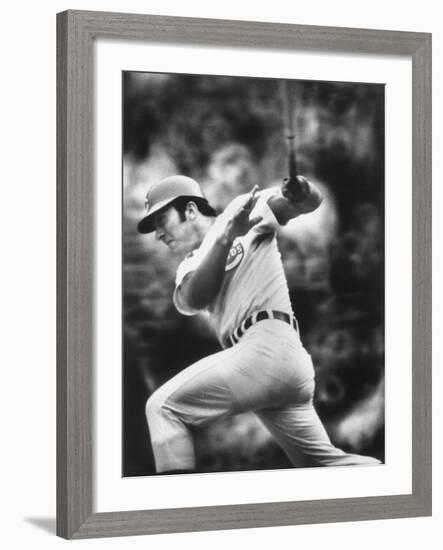 Johnny Bench, During Baseball Game, in Cincinnati-John Dominis-Framed Premium Photographic Print