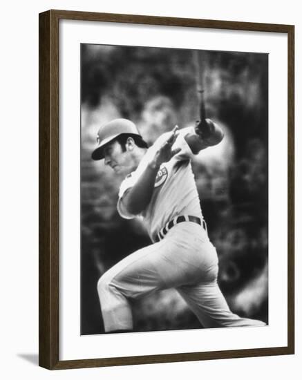 Johnny Bench, During Baseball Game, in Cincinnati-John Dominis-Framed Premium Photographic Print