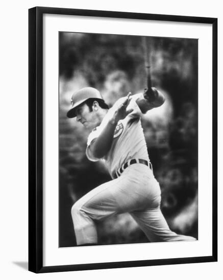 Johnny Bench, During Baseball Game, in Cincinnati-John Dominis-Framed Premium Photographic Print