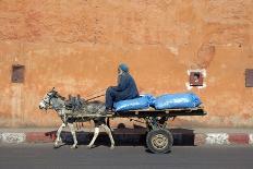 Donkey And Cart Transportation-Johnny Greig-Photographic Print