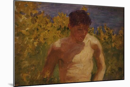 Johnny Jackett-Henry Scott Tuke-Mounted Giclee Print