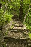 Stone Step Trail-johnsroad7-Photographic Print