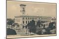 Photographic Print