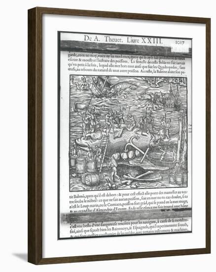 Jointing a Whale, from "Cosmographie Universelle" by Andre Thevet, 1575-Andre Thevet-Framed Giclee Print