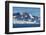 Joinville island, Weddell, Sea, Antarctica, Polar Regions-Michael Runkel-Framed Photographic Print