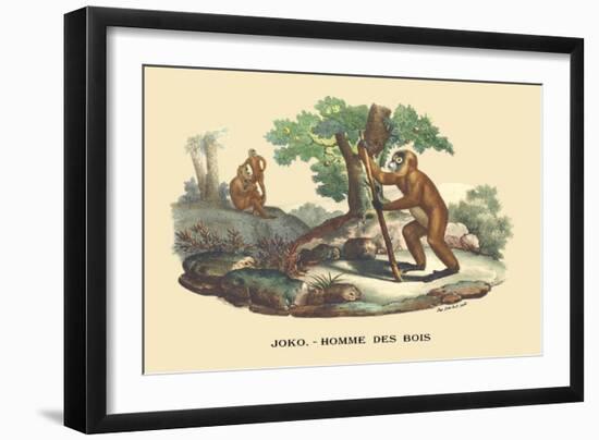 JOKO, Homme des Bois-E.f. Noel-Framed Art Print