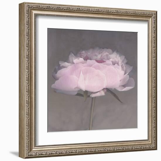 Jolie-Erin Clark-Framed Art Print