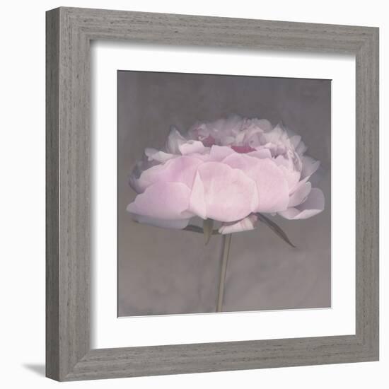 Jolie-Erin Clark-Framed Art Print