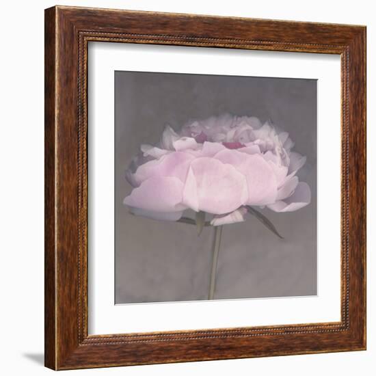 Jolie-Erin Clark-Framed Art Print