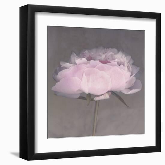 Jolie-Erin Clark-Framed Art Print