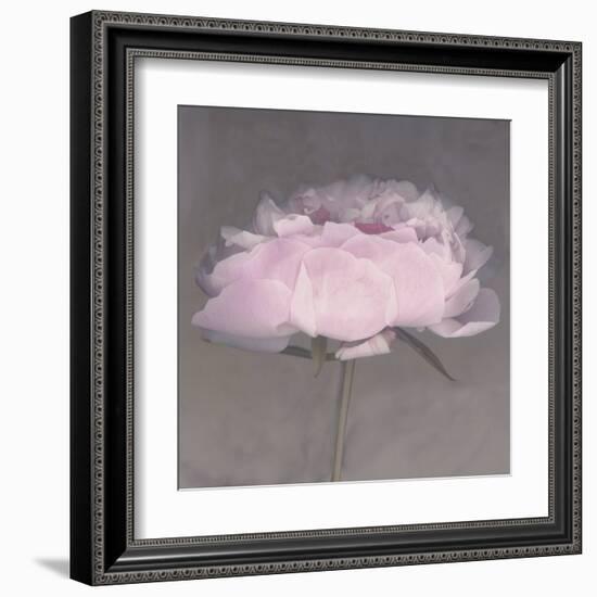 Jolie-Erin Clark-Framed Art Print