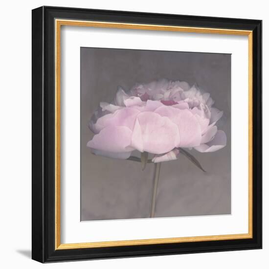 Jolie-Erin Clark-Framed Art Print