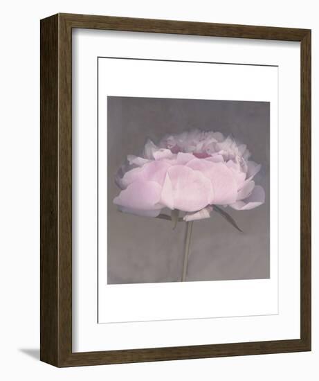 Jolie-Erin Clark-Framed Art Print