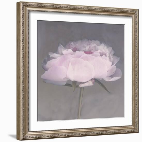 Jolie-Erin Clark-Framed Photographic Print