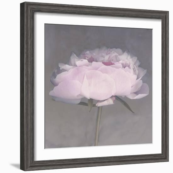 Jolie-Erin Clark-Framed Photographic Print