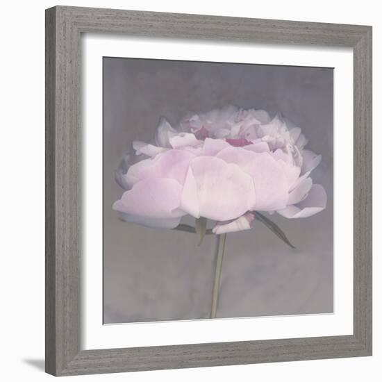 Jolie-Erin Clark-Framed Photographic Print