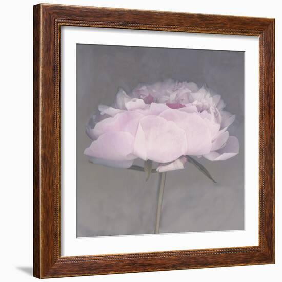 Jolie-Erin Clark-Framed Photographic Print