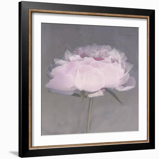 Jolie-Erin Clark-Framed Photographic Print