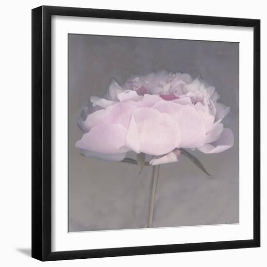 Jolie-Erin Clark-Framed Photographic Print