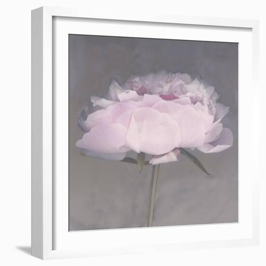 Jolie-Erin Clark-Framed Photographic Print