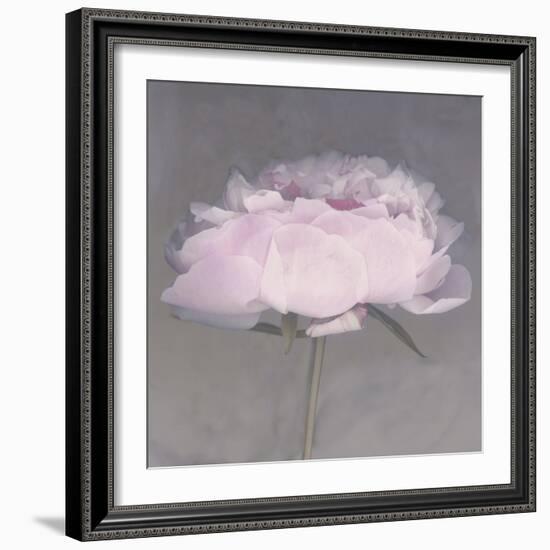 Jolie-Erin Clark-Framed Photographic Print