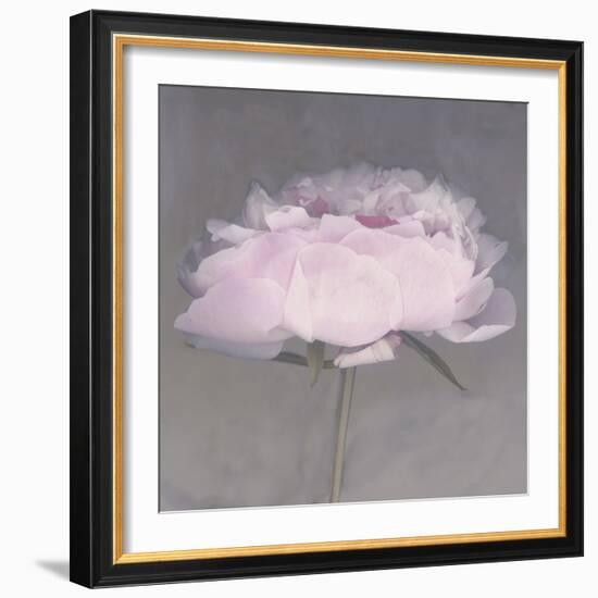 Jolie-Erin Clark-Framed Photographic Print