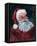 Jolly Santa-Avery Tillmon-Framed Stretched Canvas