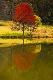 Premium Photographic Print