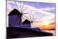 Premium Photographic Print
