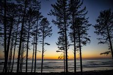 Virginia Beach, Virginia. Flock of Seagulls Fly over a Beach-Jolly Sienda-Photographic Print