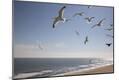 Premium Photographic Print