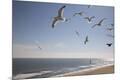 Premium Photographic Print