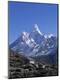 Premium Photographic Print