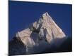 Premium Photographic Print