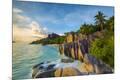 Photographic Print
