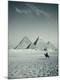 Photographic Print