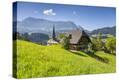 Stretched Canvas Print