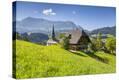 Stretched Canvas Print