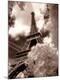 Photographic Print