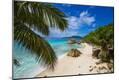 Photographic Print