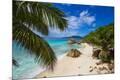 Photographic Print