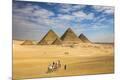 Photographic Print