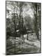 Photographic Print