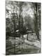 Photographic Print
