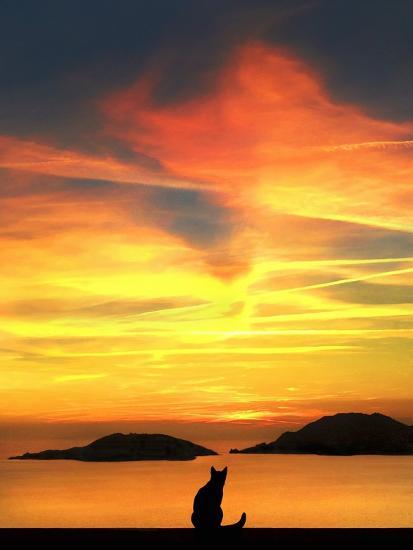 Photographic Print, , large