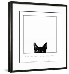 Curiosity by Jon Bertelli