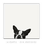 Loyalty-Jon Bertelli-Art Print