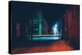 Stretched Canvas Print