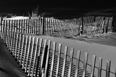 Dunes and Fences at Cape Henlopen State Park, on the Atlantic Coast in Delaware.-Jon Bilous-Photographic Print