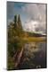 Premium Giclee Print